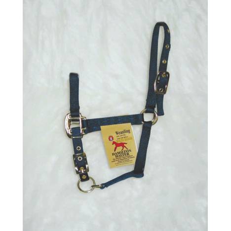 Hamilton Weanling Halter with Adjustable Chin and Snap