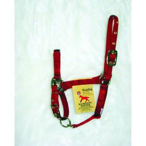Hamilton Weanling Halter with Adjustable Chin and Snap