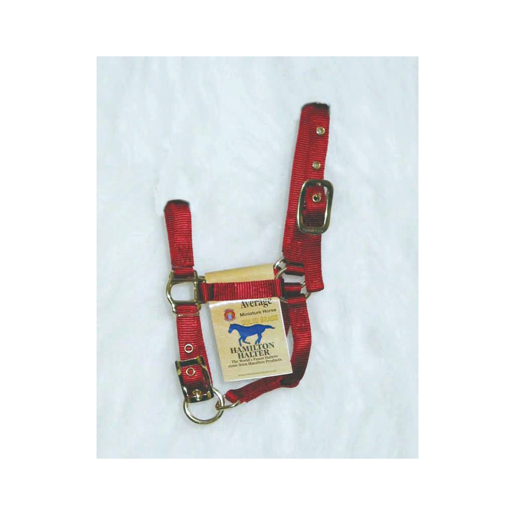 Hamilton Miniature Horse Halter