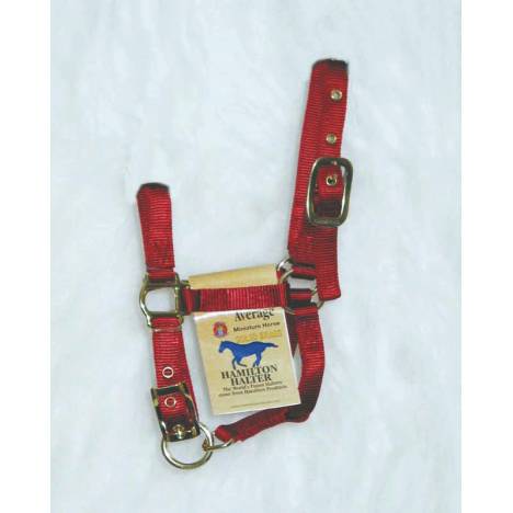 Hamilton Miniature Horse Halter