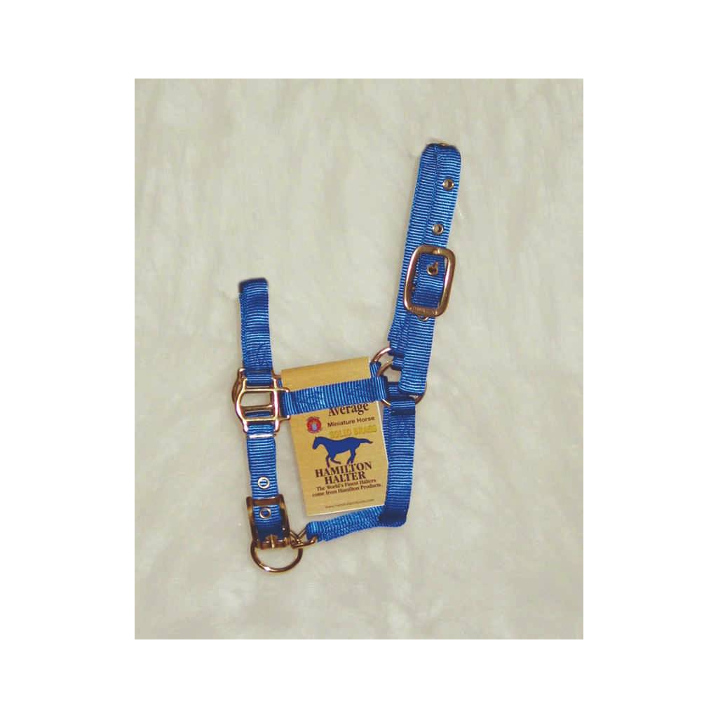 Hamilton Miniature Horse Halter