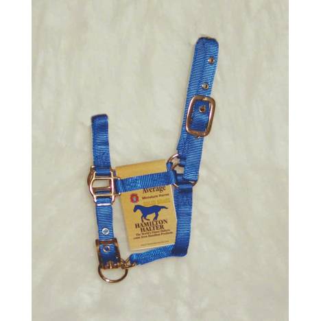 Hamilton Miniature Horse Halter