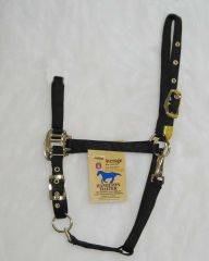 Hamilton Arab Halter with Adjustable Chin and Snap