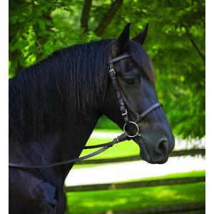 Perris Leather Draft Horse Bridle