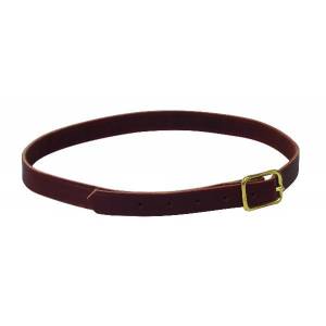 Perris Leather Collection 7/8in x 40in Horse Neck Strap