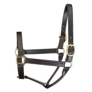 Perris Leather Collection Premium Track Style Leather Show Halter