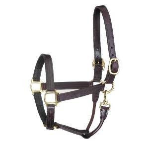 Perris Leather Collection Premium Track Style with Snap Leather Show Halter