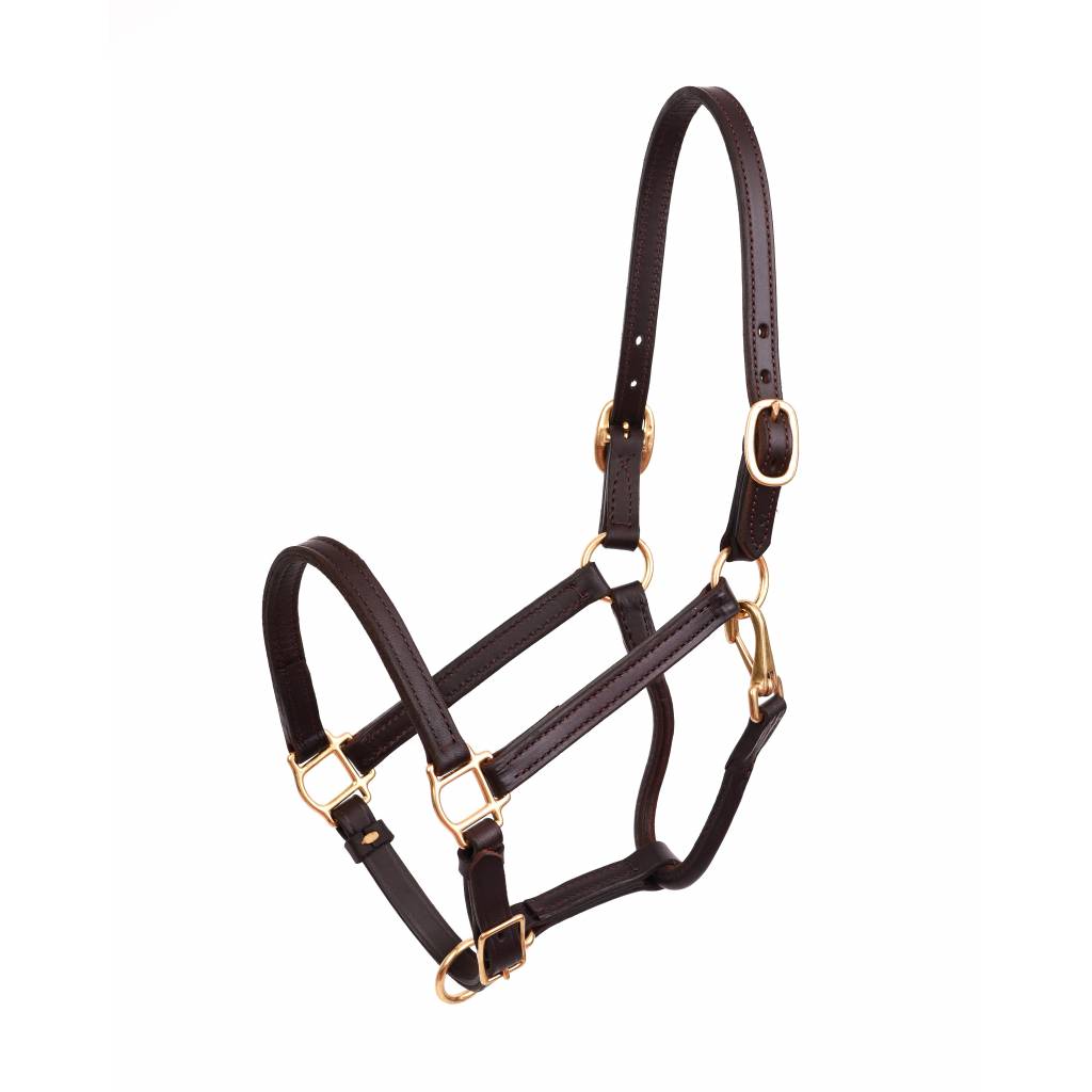 Perris Leather Collection Premium Leather Show Halter