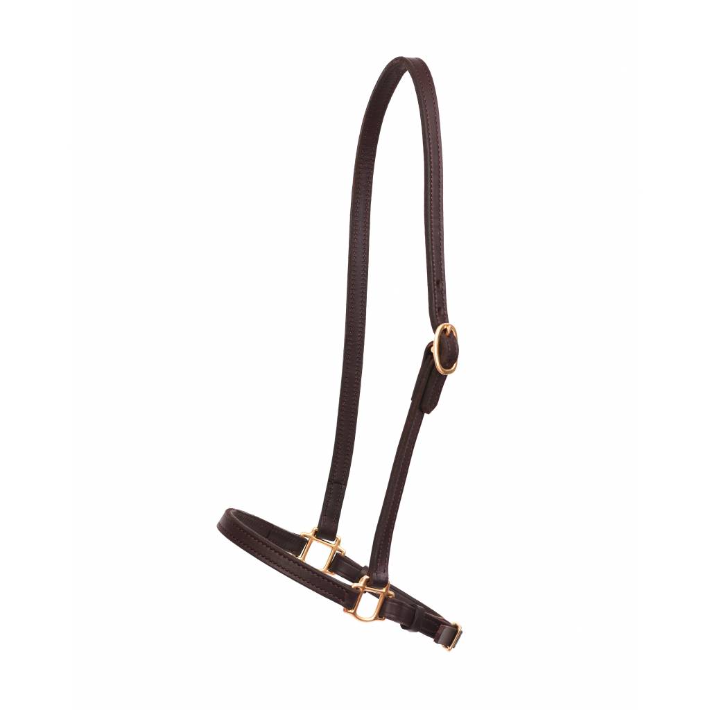 Perris Leather Collection 3/4in Leather Grooming Halter