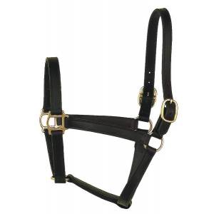 Perris Leather Collection Track Style Leather Turnout Halter