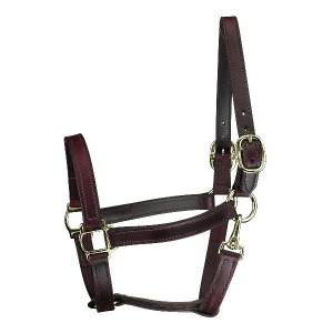 Perris Leather Collection Track Style Leather Turnout Halter with Snap at Throat