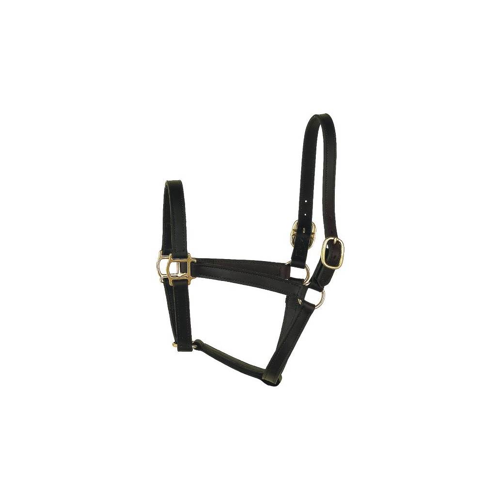 Perris Leather Collection Track Style Leather Turnout Halter