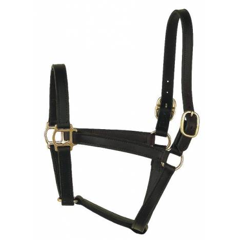 Perris Leather Collection Track Style Leather Turnout Halter