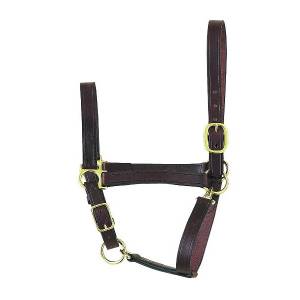 Perris Leather Collection Economy Leather Halter