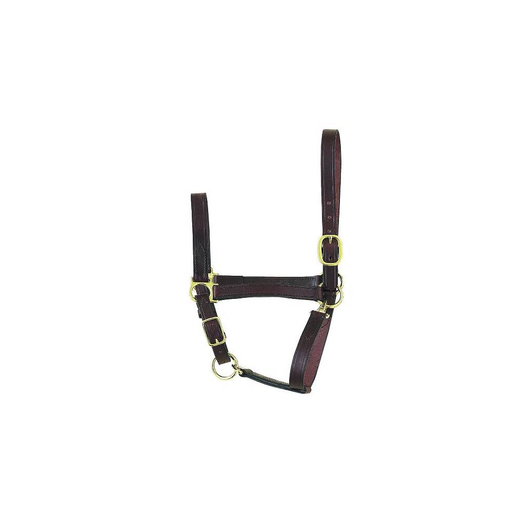 Perri's Economy Leather Halter