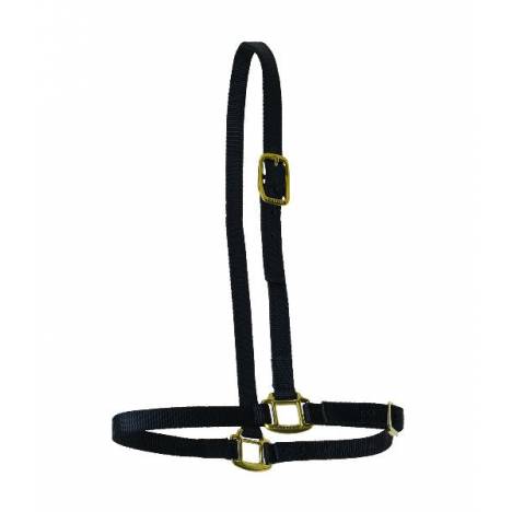 Perri's Nylon Grooming Halter