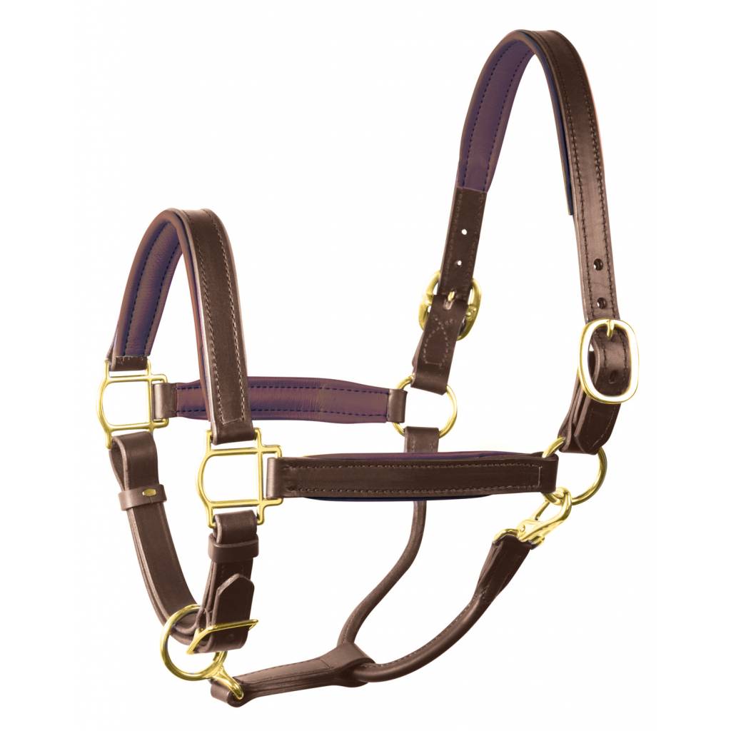 Perri's 3/4" Padded Leather Halter