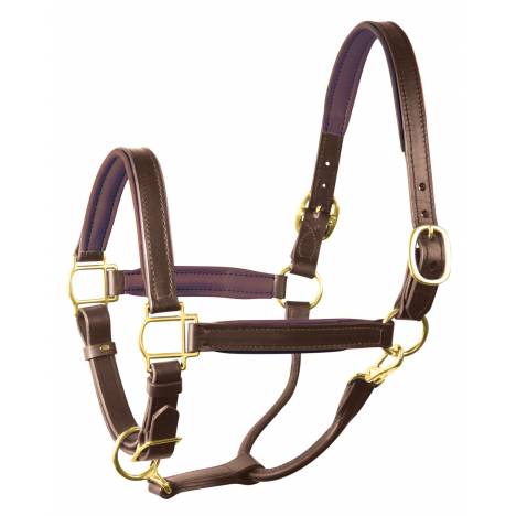 Perri's 3/4" Padded Leather Halter