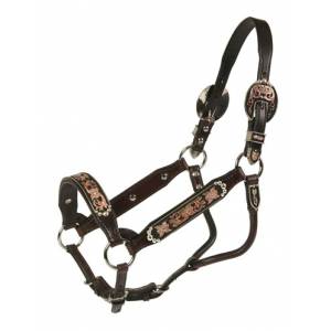 Tory Leather San Jose Congress Style Show Halter & Lead