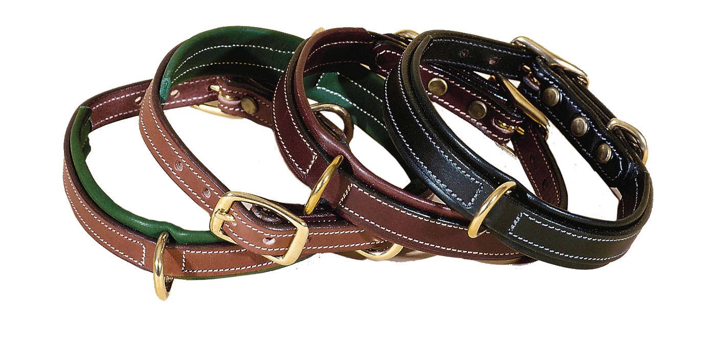 Tory 2024 dog collar