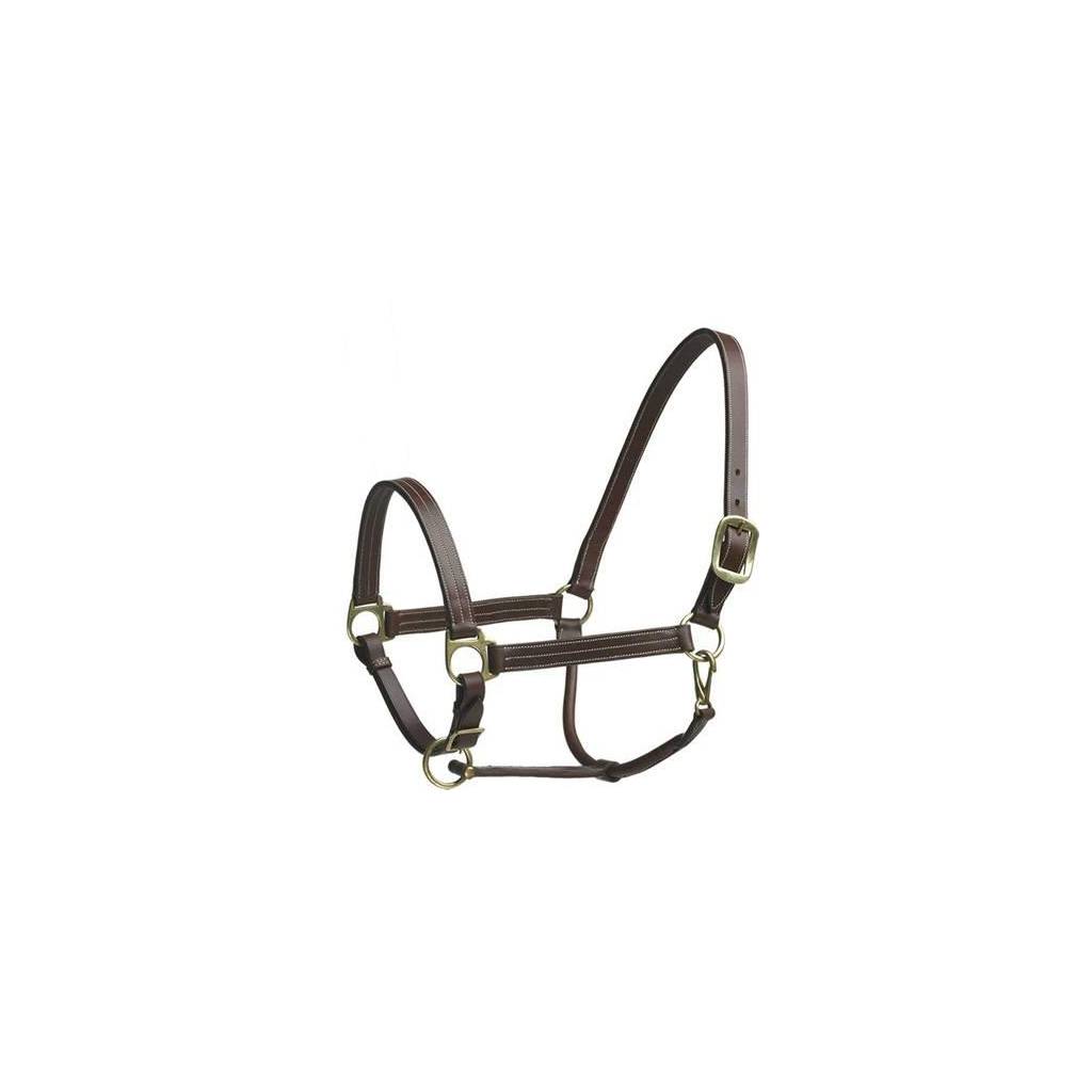 Camelot Stable Halter Suckling