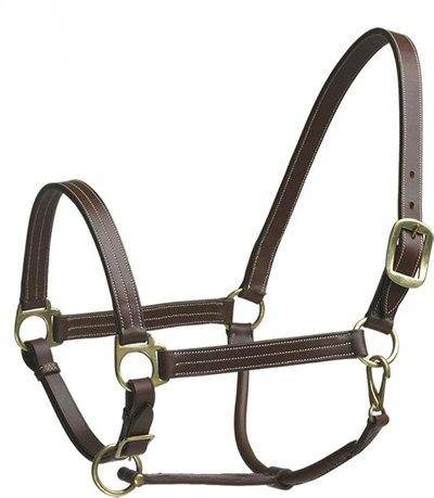 Camelot Stable Halter Weanling