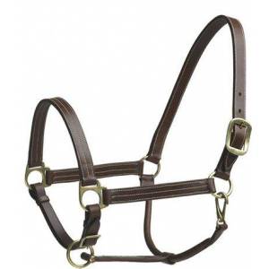 Camelot Stable Halter Pony
