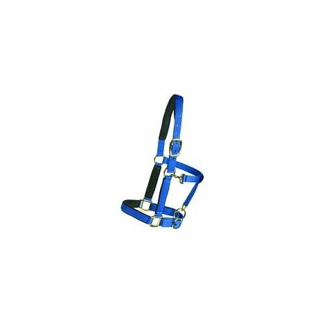 EquiStar Super Padded Comfort Breakaway Halter