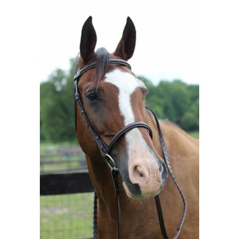 Henri de Rivel Fancy Raised Bridle with Laced Reins