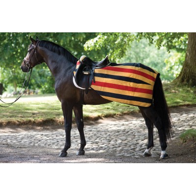 Rambo by Horseware Newmarket Competition Sheet