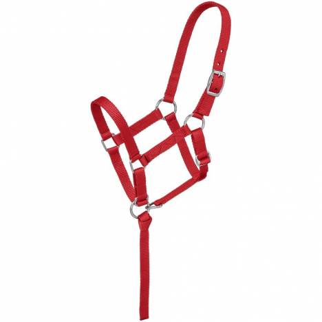 Tough-1 Nylon Foal Halter