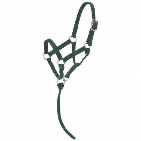 Tough-1 Miniature Nylon Halter