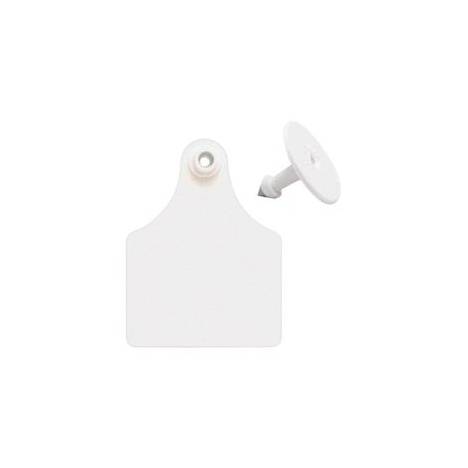 Allflex Ear Tag Blank