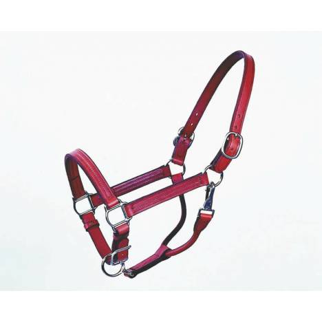 Halter Track 1 Inch