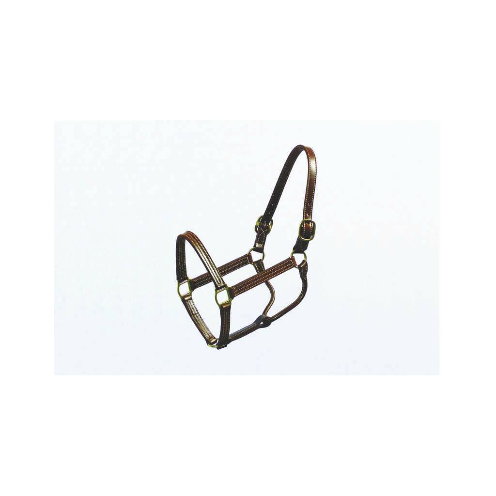 Halter Thoroughbred 1 Inch