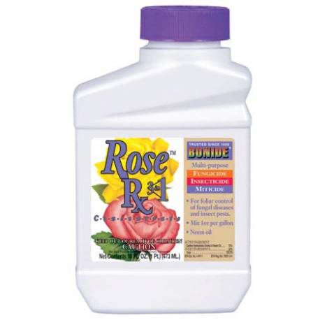 Captain Jack's Rose Rx 4-In-1 Concentrate