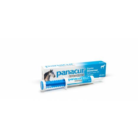 Panacur Paste Equine Dewormer