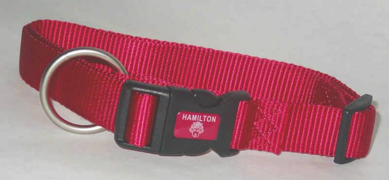 Adjustable Dog Collar