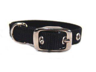 5-259828 Single Thck Nyln Dlx Dg Collar sku 5-259828