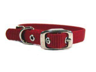 5-259833 Single Thck Nyln Dlx Dg Collar sku 5-259833