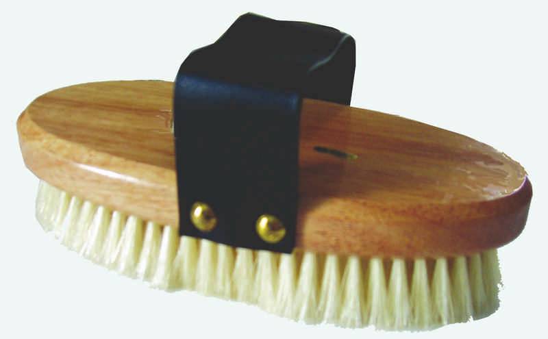 Elite horse Brush