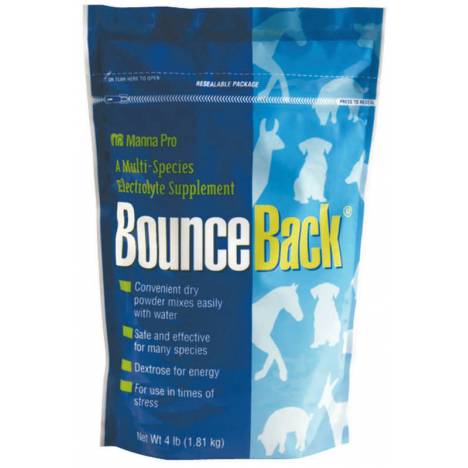 Bounce Back Electrolyte Calves