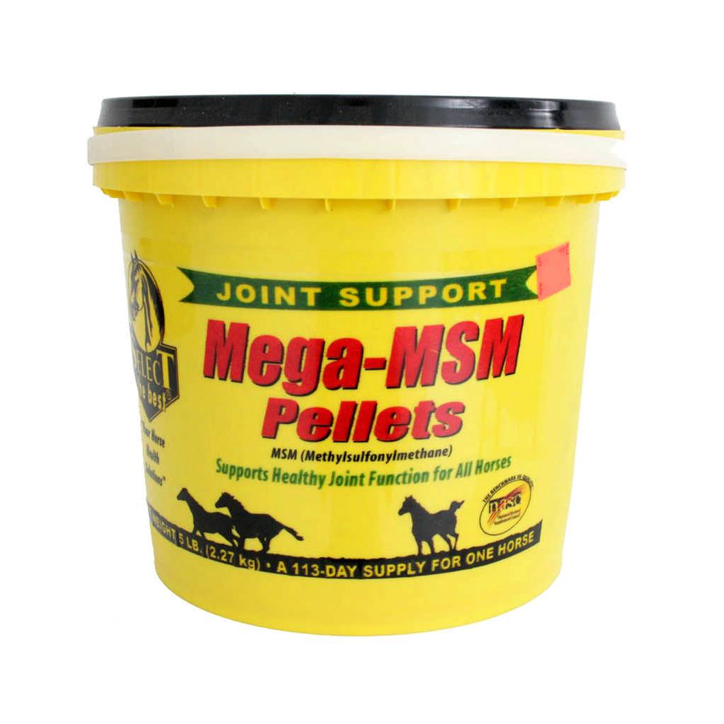 Select Mega MSM Supplement