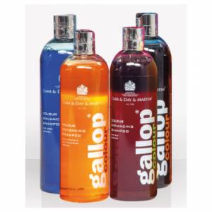 Gallop Color Enhancing Shampoo by Carr & Day & Martin