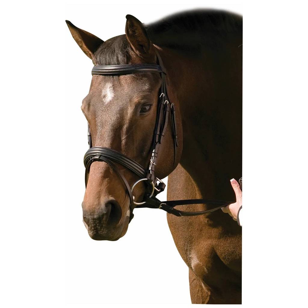 Henri De Rivel Dressage Bridle with Crank and Flash