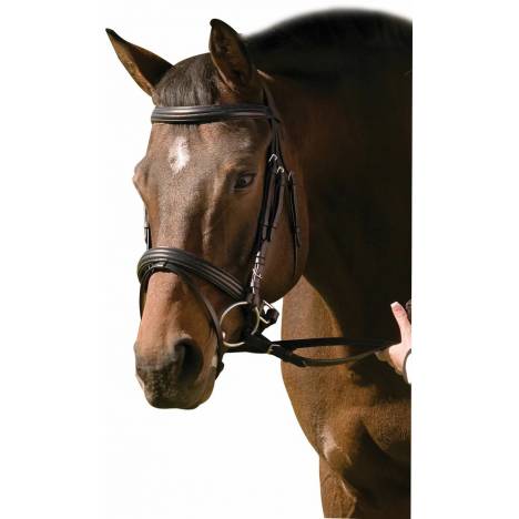 Henri De Rivel Dressage Bridle with Crank and Flash