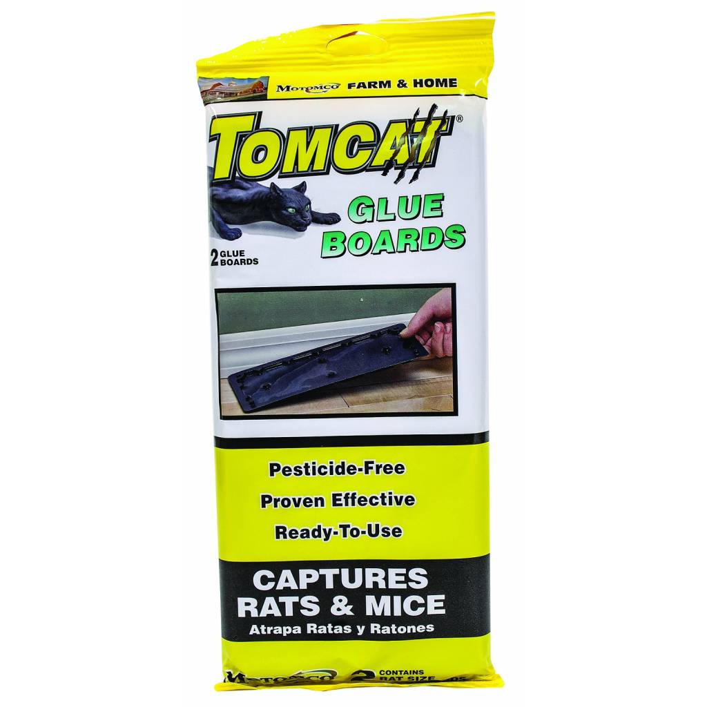 TOMCAT Rat Glue Board Value Pack