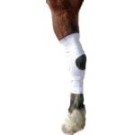 Davis Horse Healthcare