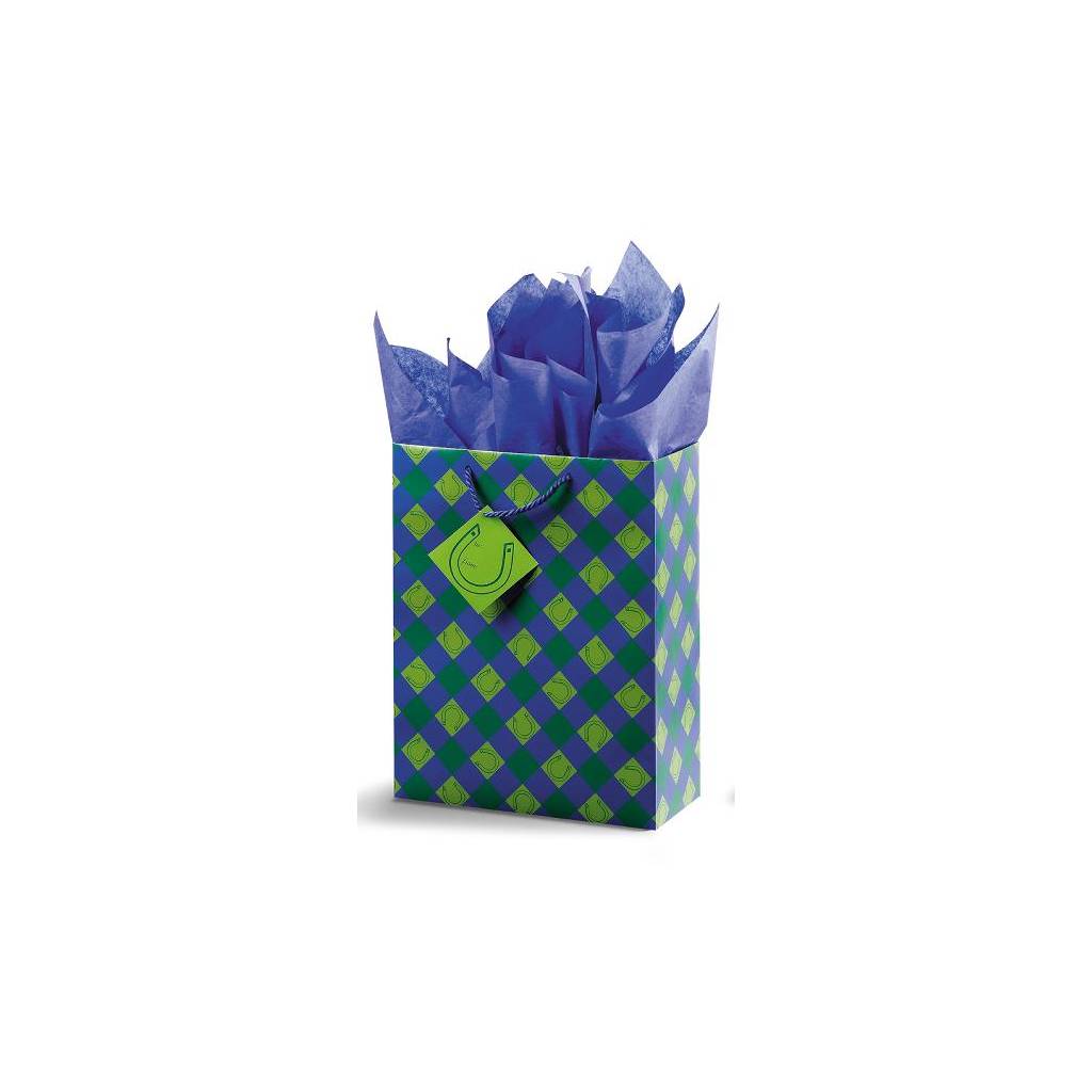 Lucky You! Vertical Vogue Gift Bag - Blue/Green