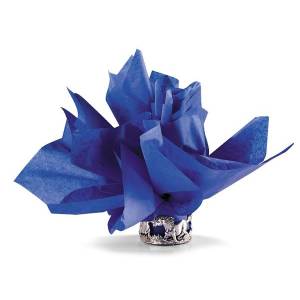 Horseshoe Gift Packaging Blue Ribbon Blue Tissue Paper